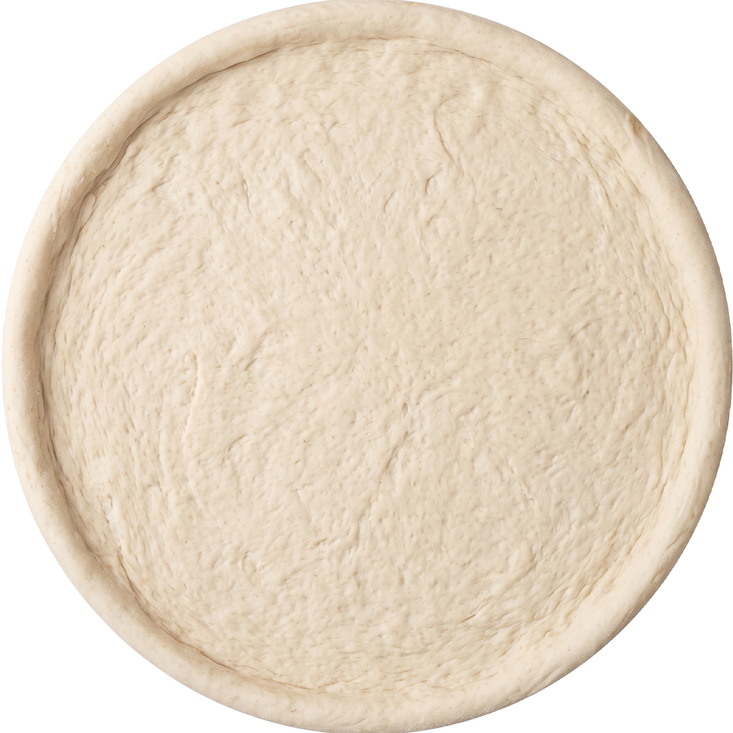 Pizza Tabanı